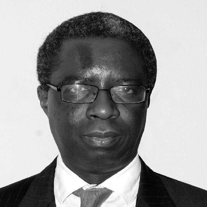 Gbolahan Elias (Co-chair)